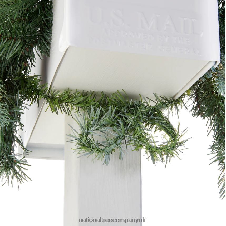 Greenery | National Tree Company Pre-Lit Artificial Mailbox Swag Decoration Green Arctic Spruce LED Lights Decorated with Pine Cones Christmas Collection 3 Feet F2L4F446